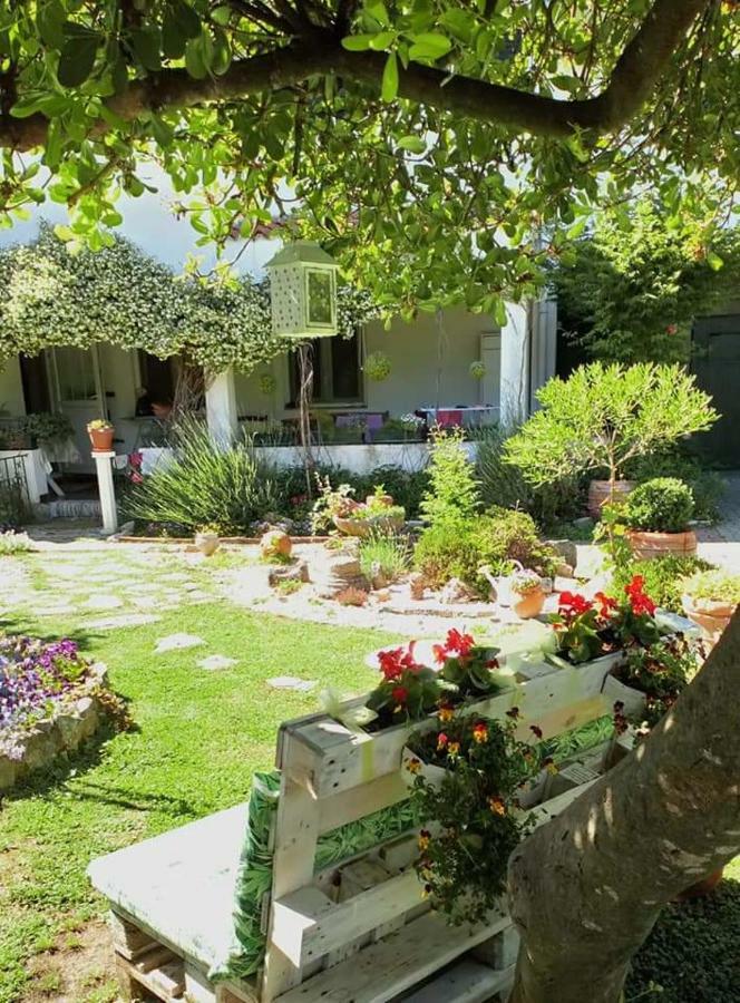 Apartments Meri Ζαντάρ Εξωτερικό φωτογραφία